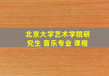 北京大学艺术学院研究生 音乐专业 课程